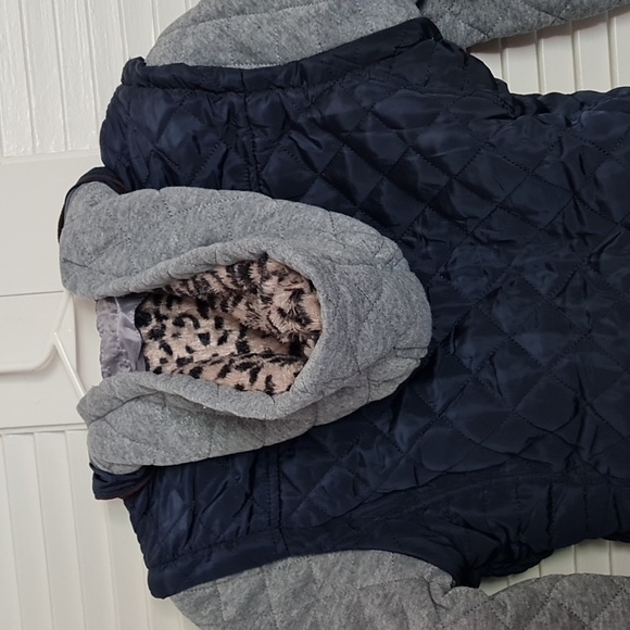 VEST JACKET - Picture 12 of 16